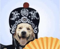 气象小贴士雨雪袭来天气降温 (天气预报本周气温偏高有较大雨雪)