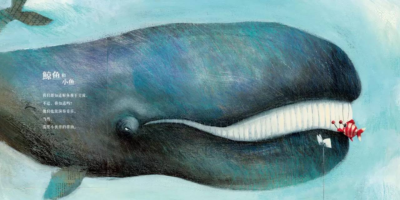 世界级大师薛蓝·约纳科维奇带你在小世界里寻找大世界