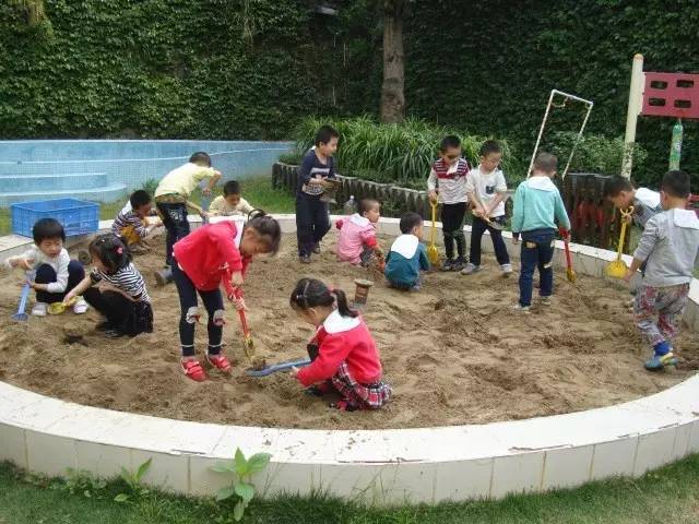 厦门湖里最美幼儿园,厦门湖里聪颖树幼儿园