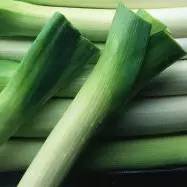 蔬菜种子识别图片,常见蔬菜种子认识