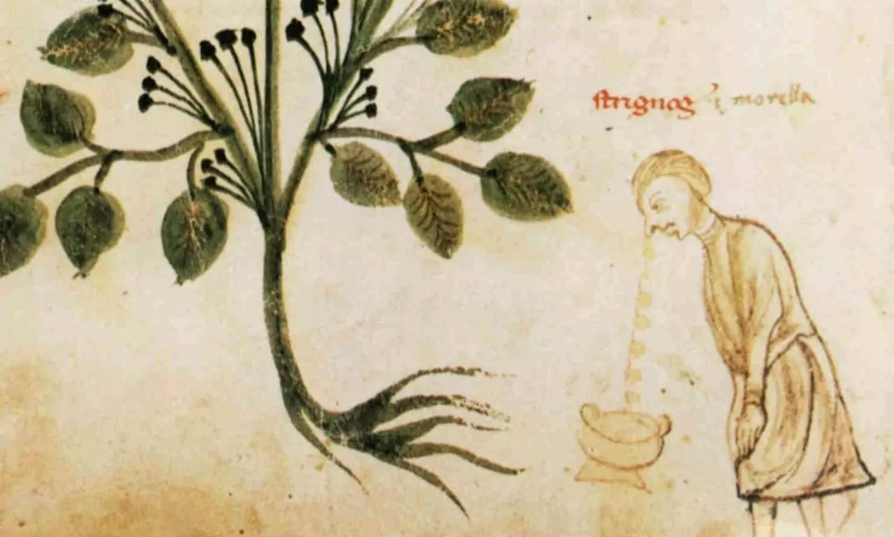 防流鼻血的建议,预防流鼻血安全教案