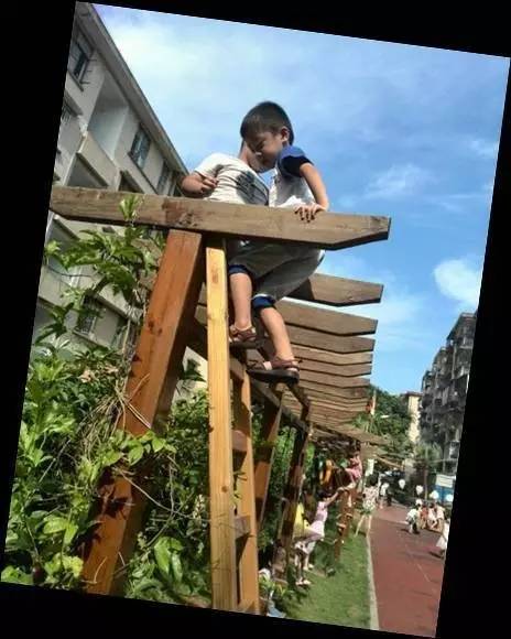 厦门湖里最美幼儿园,厦门湖里聪颖树幼儿园