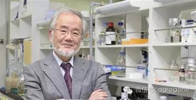 韩春雨事件对学术圈的影响,韩春雨事件最新研究成果进展