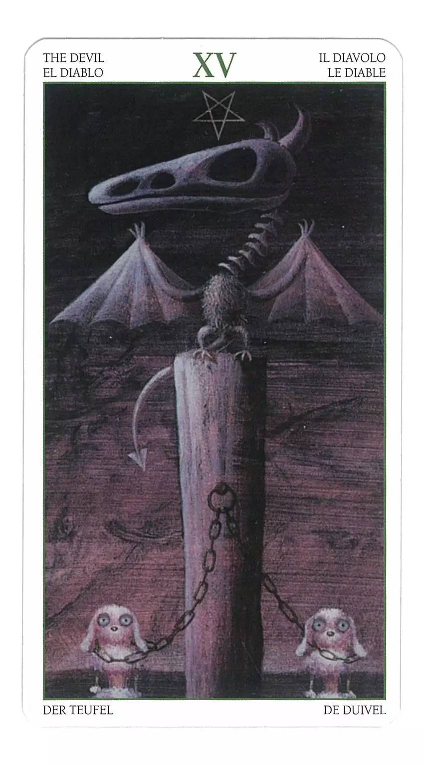 爱莎塔罗运势,爱莎塔罗近期运势