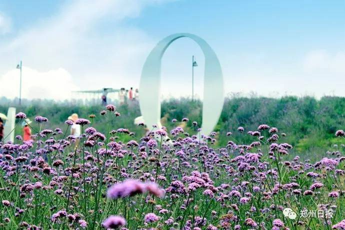 郑州旅游年卡是景点免费还是打折,郑州旅游景点景区年卡优惠攻略