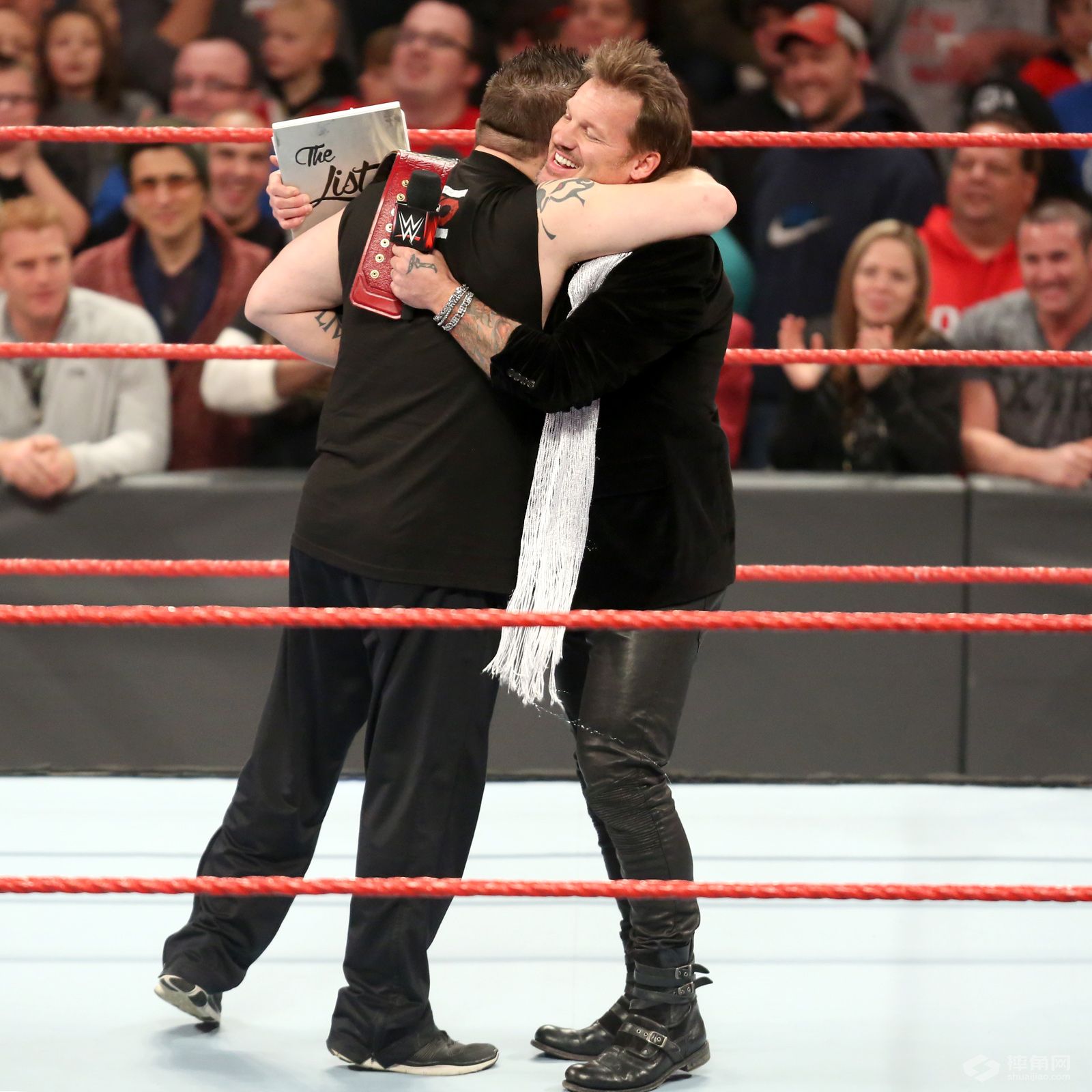 莱贝克wwe大招叫什么,莱贝克stupid