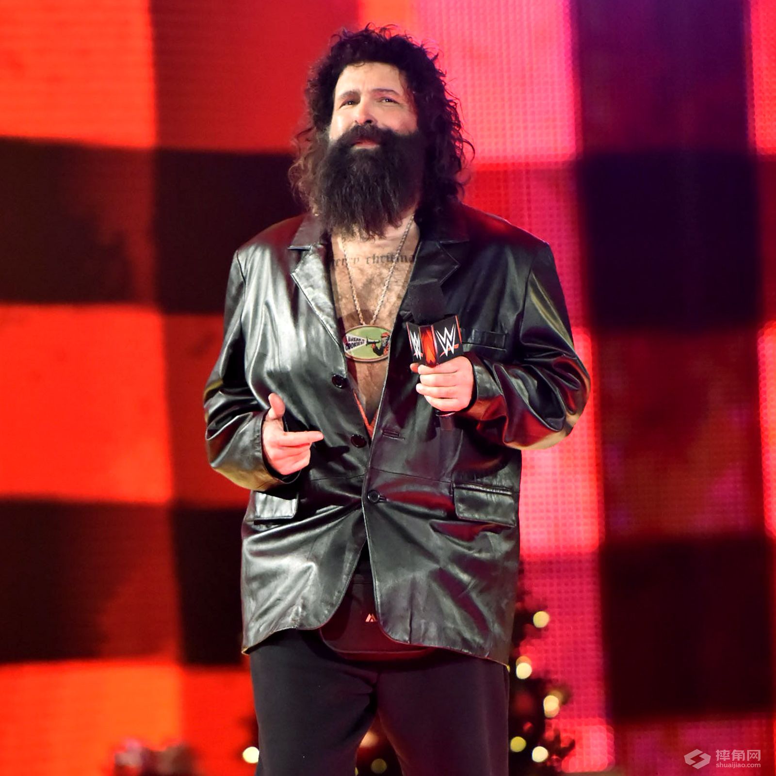 莱贝克wwe大招叫什么,莱贝克stupid