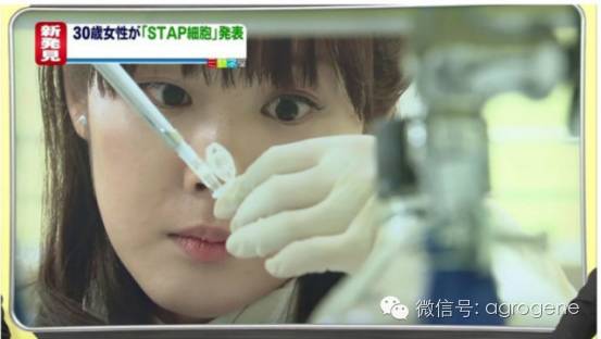 韩春雨事件对学术圈的影响,韩春雨事件最新研究成果进展