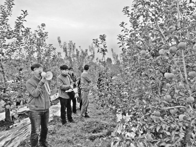 农业部推广化肥,中化化肥水肥一体化