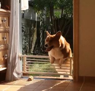 当你老婆发脾气的时候,当你老婆处处和你对着干