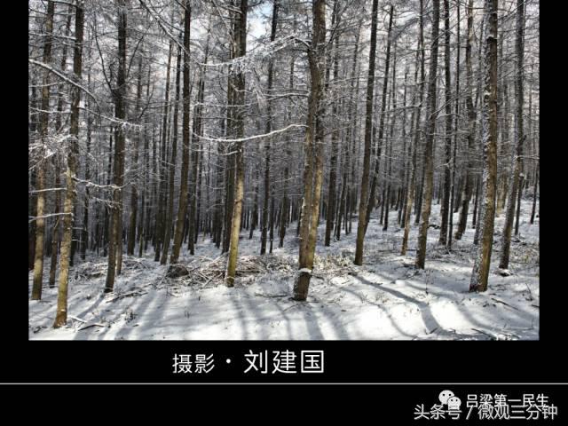 岚县野鸡山位于哪里,山西吕梁山雪景图片