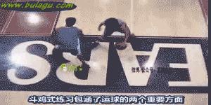 番外训练图,番外个体能力