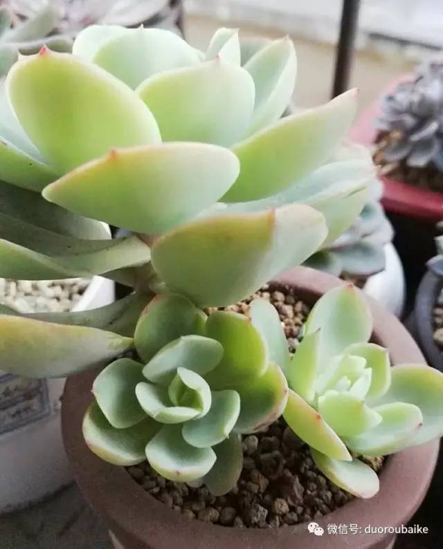 美好的时光带来快乐,美好的时光伴随着我