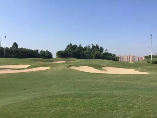 世界冠军专程助阵，为参赛球队提供总决赛球场最全攻略