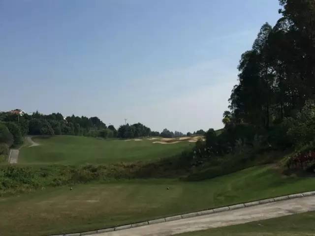 世界冠军专程助阵，为参赛球队提供总决赛球场最全攻略