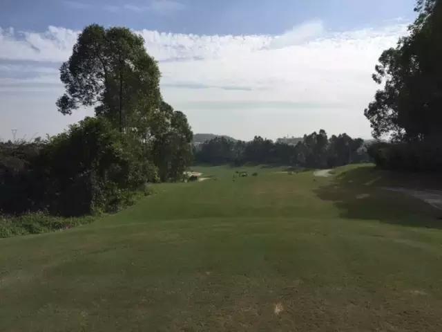 世界冠军专程助阵，为参赛球队提供总决赛球场最全攻略