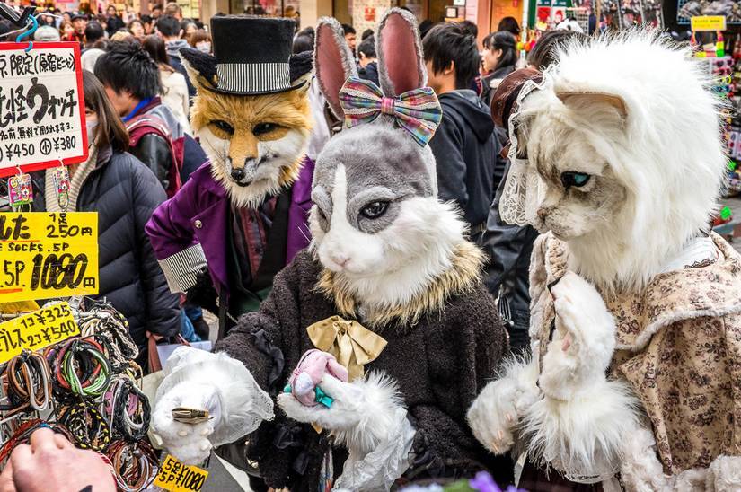 日元跌到最低了吗,日元跌到多少适合入手