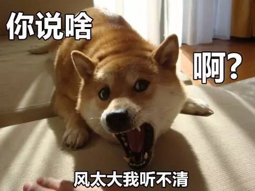 rm制作组道歉宋智孝,宋智孝金孝钟