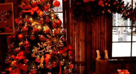 圣诞节限量款来了,单身狗也要过520吗