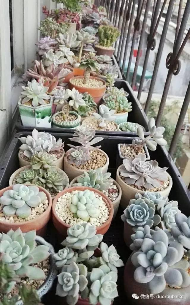 美好的时光带来快乐,美好的时光伴随着我