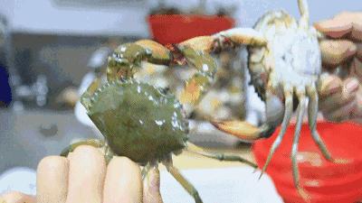 200多家分店的“神级BOSS”，凭一锅肉蟹煲刷爆全国朋友圈