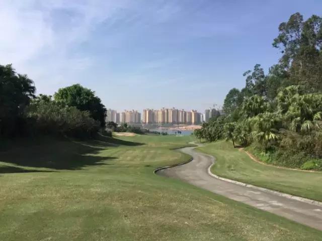 世界冠军专程助阵，为参赛球队提供总决赛球场最全攻略