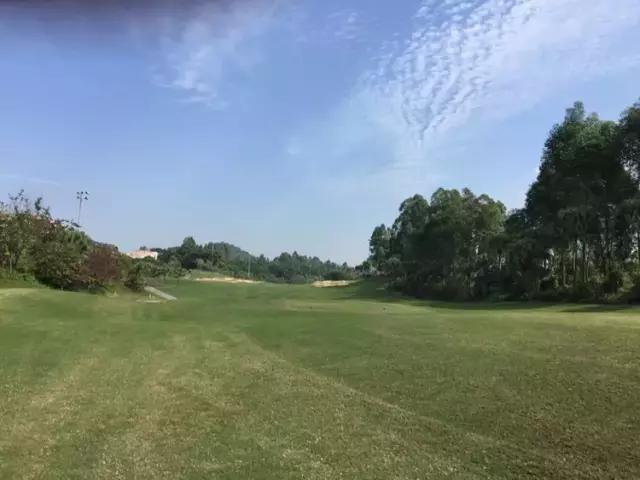 世界冠军专程助阵，为参赛球队提供总决赛球场最全攻略