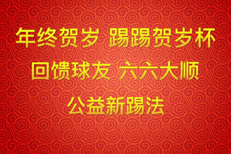 贺岁杯国际青少年足球沟通赛,贺岁杯足球