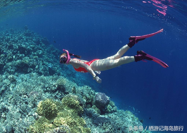 潜水推荐国内,适合潜水的海岛