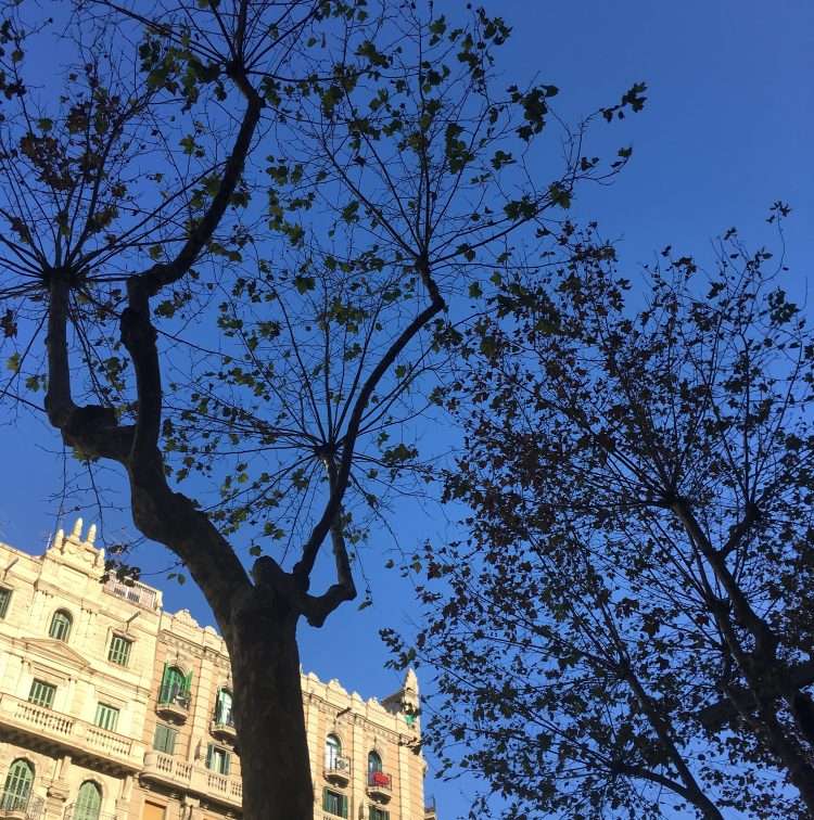 巴塞罗那诺坎普球赛,巴塞罗那诺坎普攻略