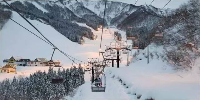 日元跌到最低了吗,日元跌到多少适合入手