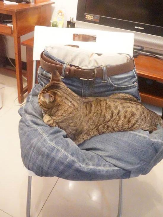 我的头盔百分百回头率！哥就这么自信！