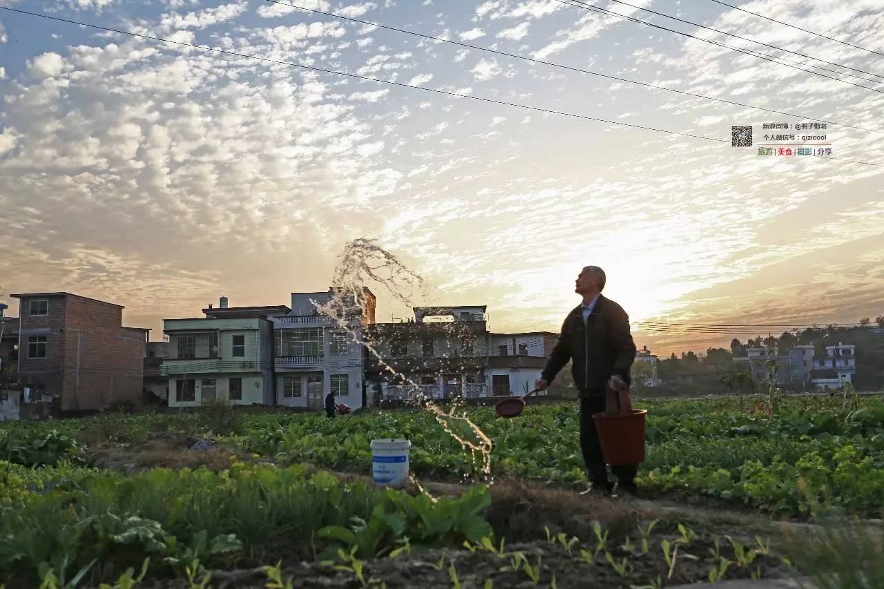 去连州有什么好玩的,清远连州旅游详细攻略