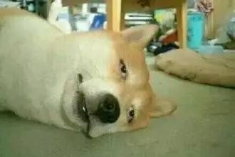 闲鱼卖东西会遇到哪些骗局,闲鱼买东西被骗的真实案例