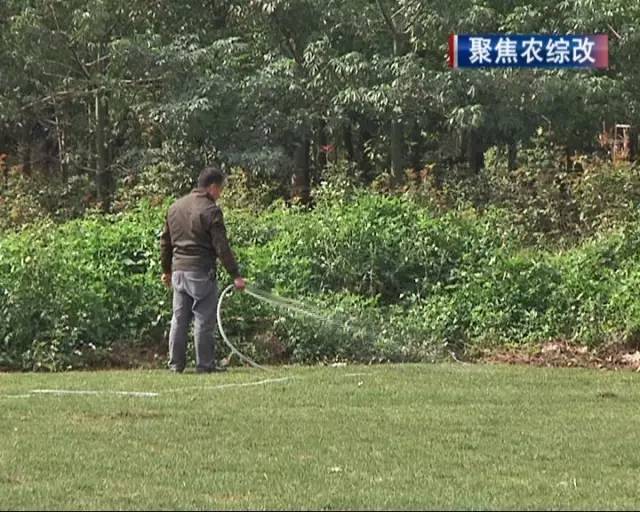 太平天下村有足球场啦，农村人也有地方踢球锻炼