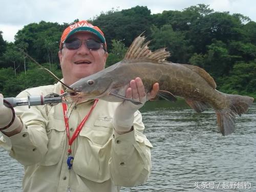 亚马逊钓鱼钓到最大的鱼,亚马逊钓到1吨的鱼