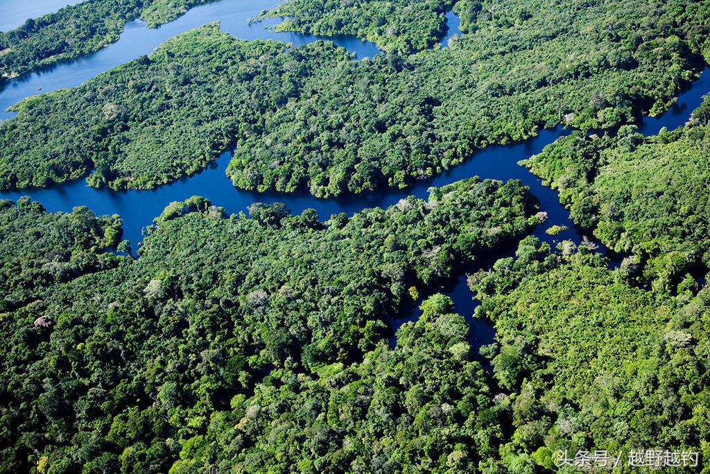 亚马逊钓鱼钓到最大的鱼,亚马逊钓到1吨的鱼