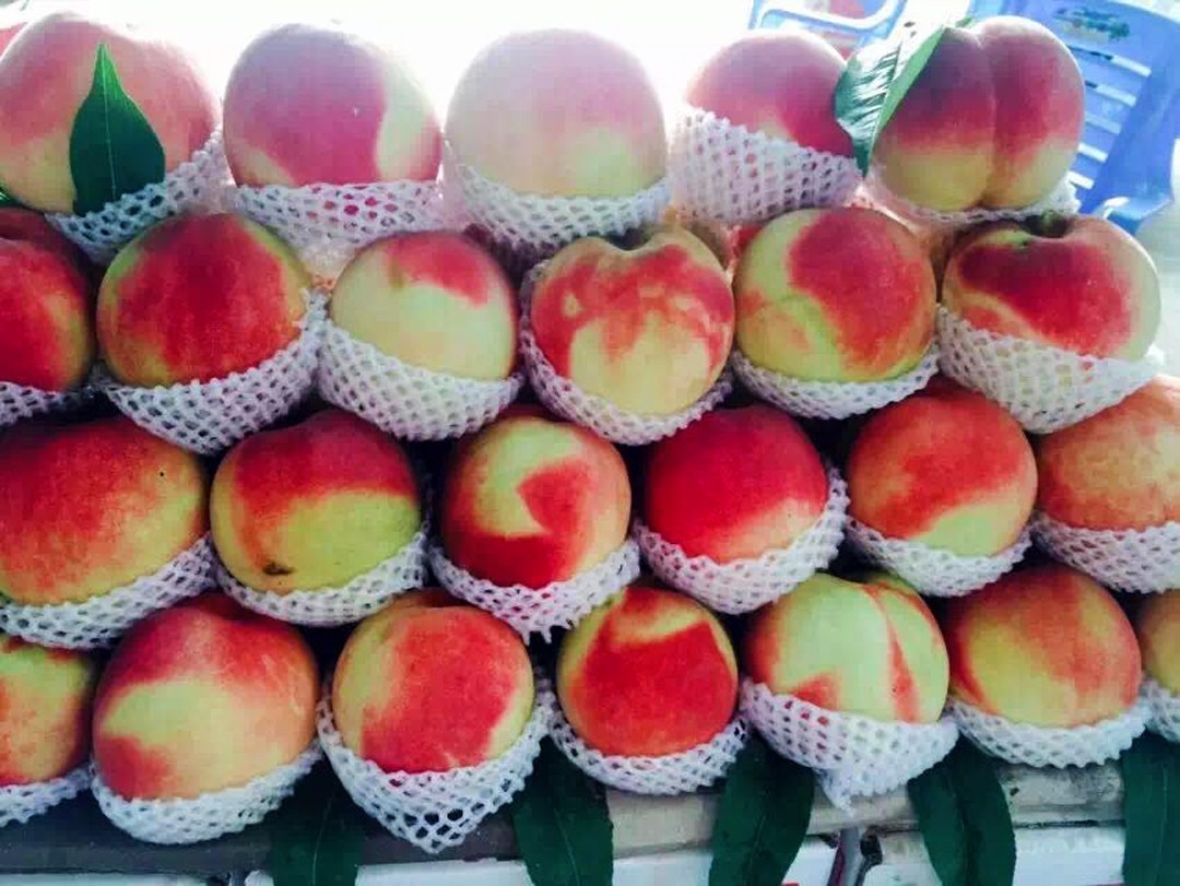 广西进口农产品批发市场,中国进口商品直销平台