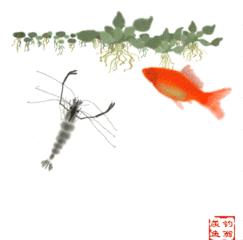 脂肪肝冬天喝什么茶好,脂肪肝应该怎样调理饮食