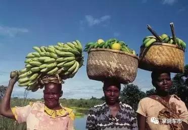 私家车车顶放自行车合法吗,车顶装小自行车违法吗