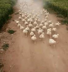 当你老婆发脾气的时候,当你老婆处处和你对着干