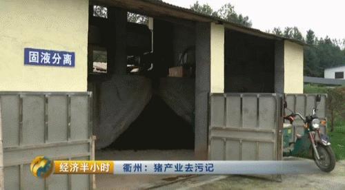 猪粪致富经,致富经养猪多赚一个亿