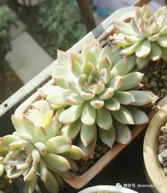 美好的时光带来快乐,美好的时光伴随着我