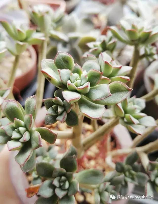 美好的时光带来快乐,美好的时光伴随着我