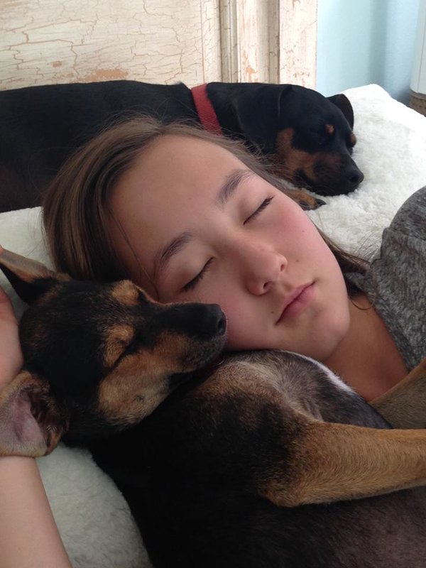 狗狗受到虐待一瘸一拐,狗狗被虐待断腿