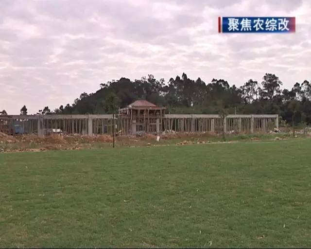 太平天下村有足球场啦，农村人也有地方踢球锻炼