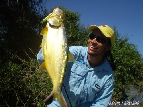 亚马逊钓鱼钓到最大的鱼,亚马逊钓到1吨的鱼