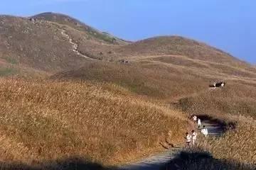 香港四大郊野徒步路线,香港太平山徒步线路