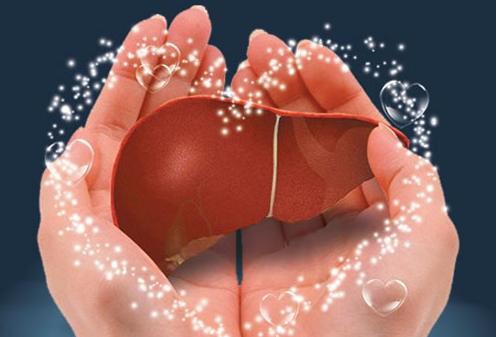 脂肪肝冬天喝什么茶好,脂肪肝应该怎样调理饮食