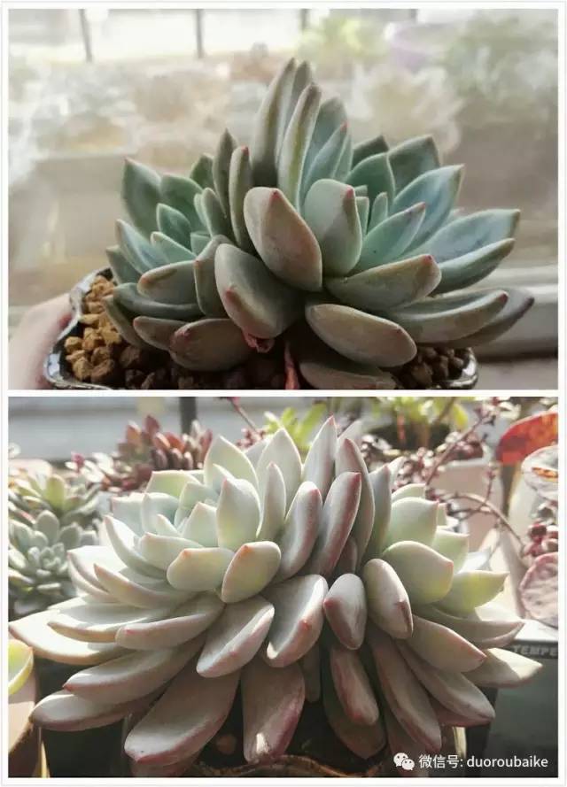 美好的时光带来快乐,美好的时光伴随着我